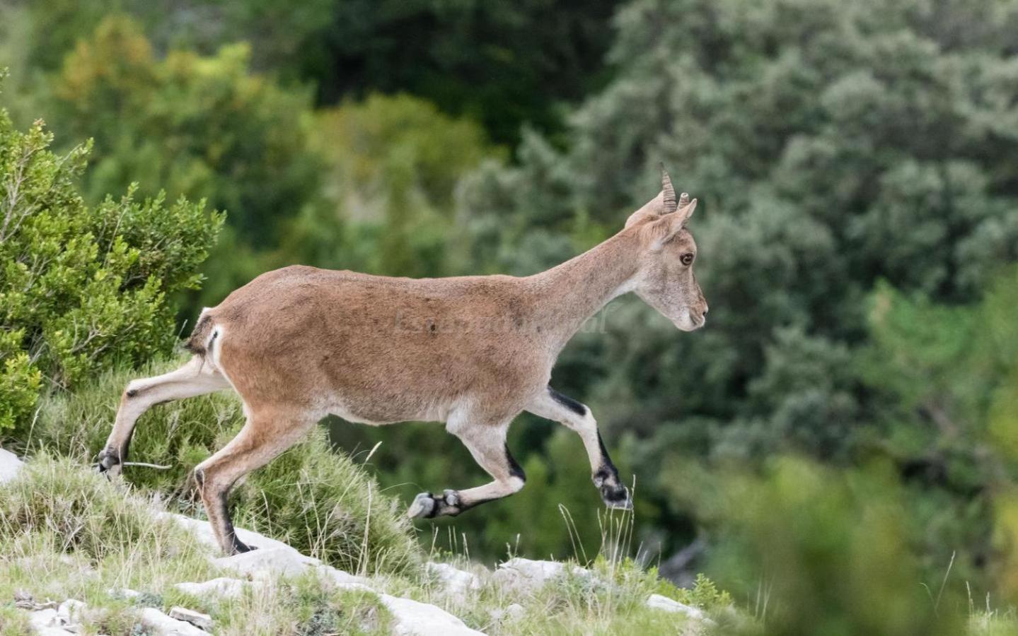 Parc Natural Dels Ports Holiday home